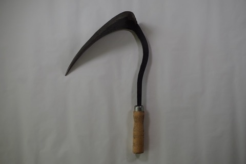 충남