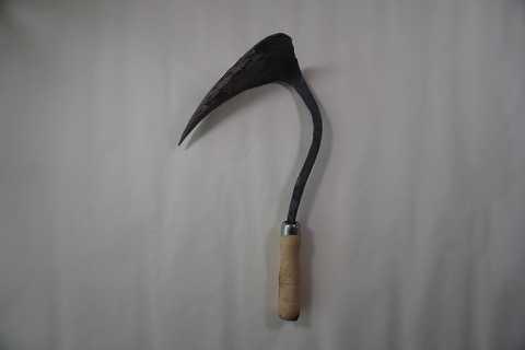 충남