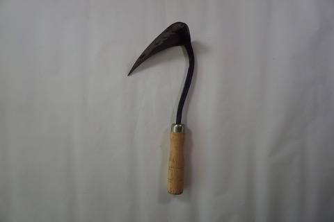 충남