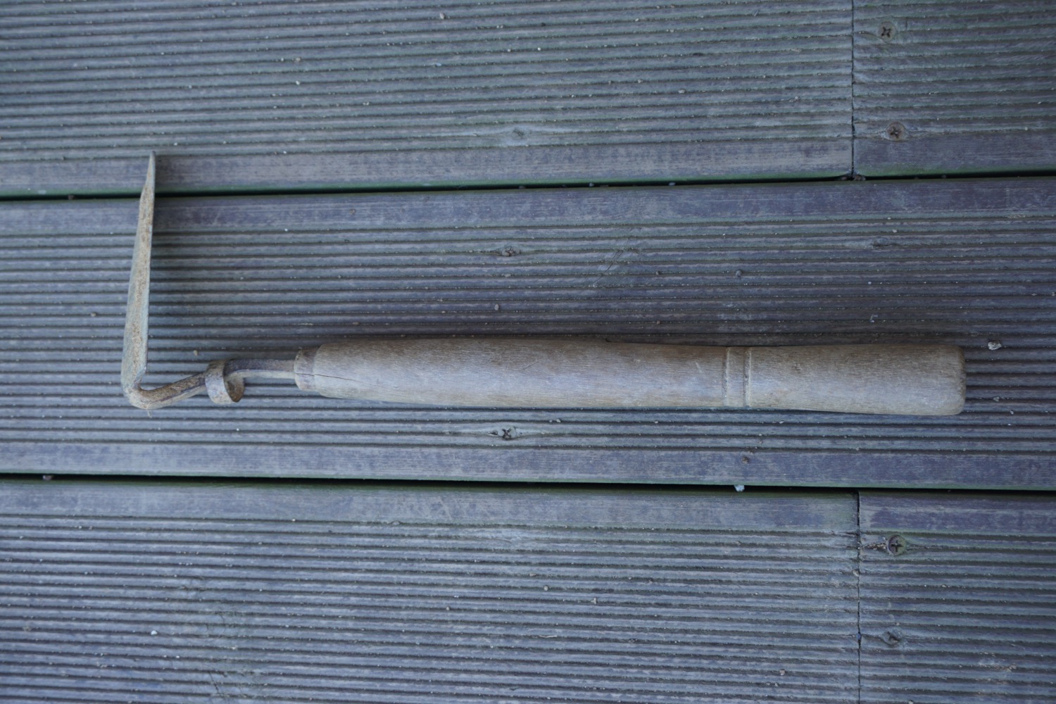 DSC00008