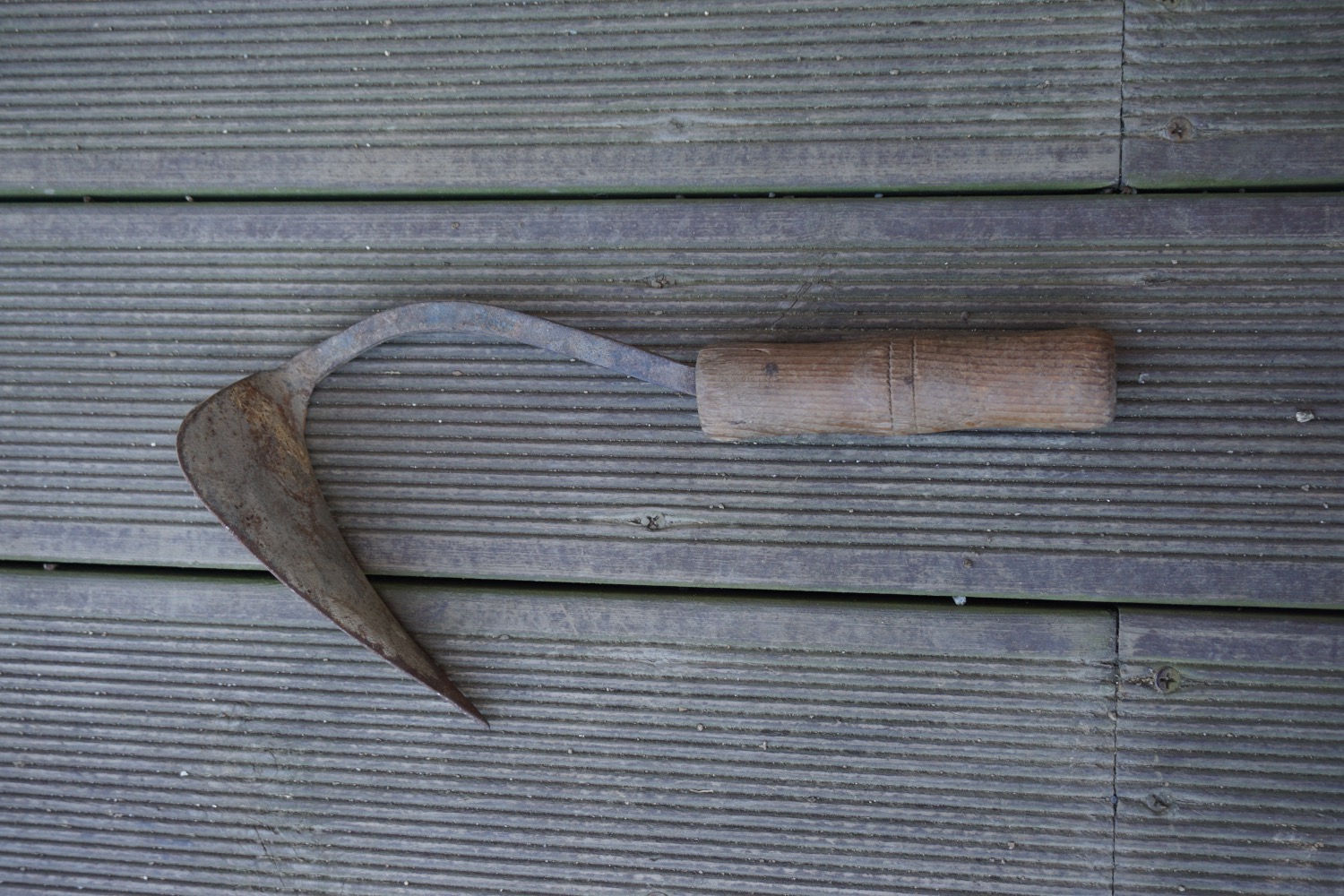 DSC00010