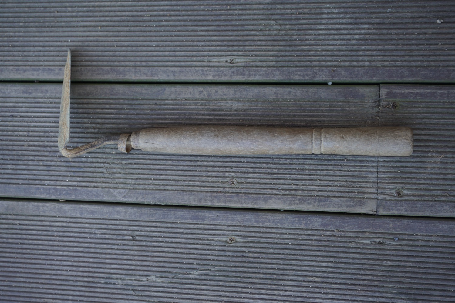 DSC00016