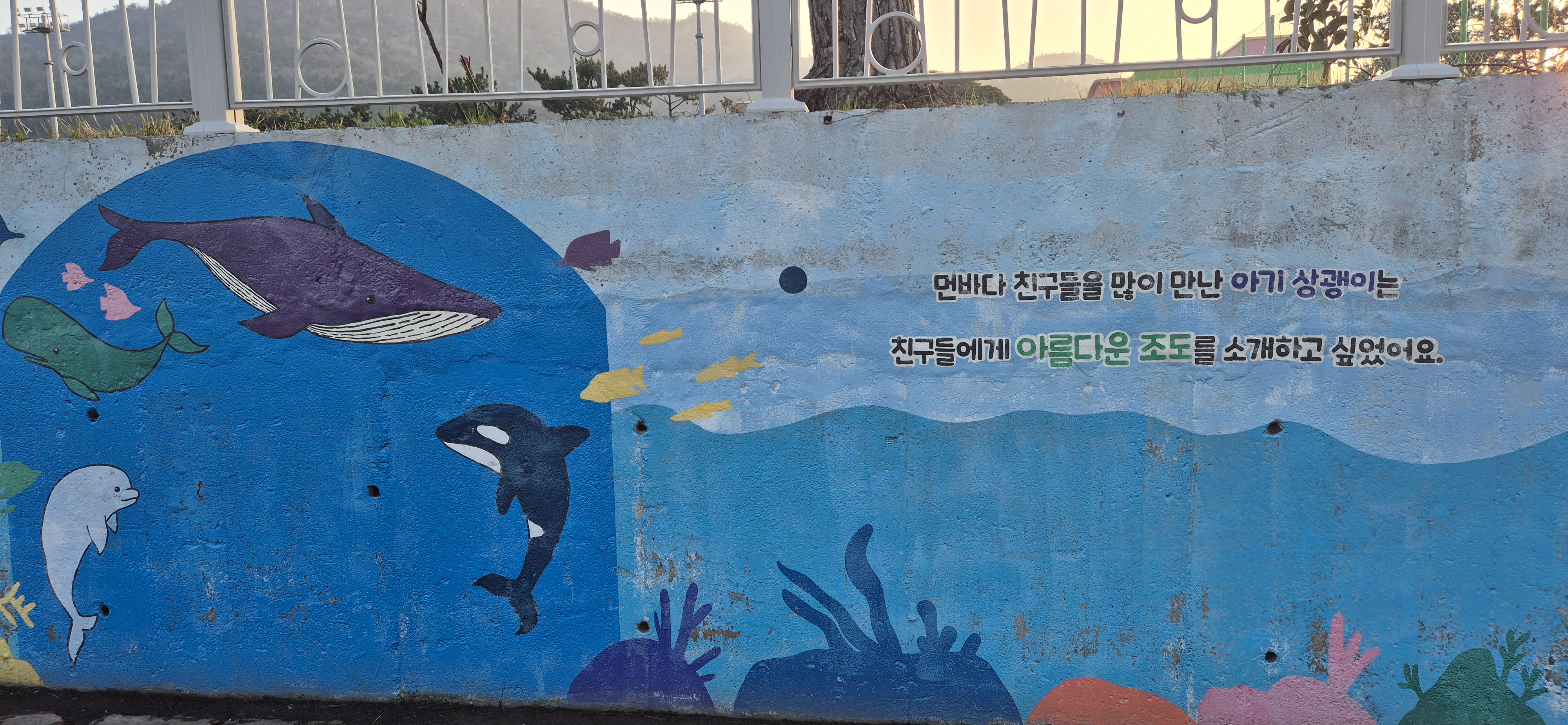 20260325-26 전남 진도군 조도면 하조도-상조도