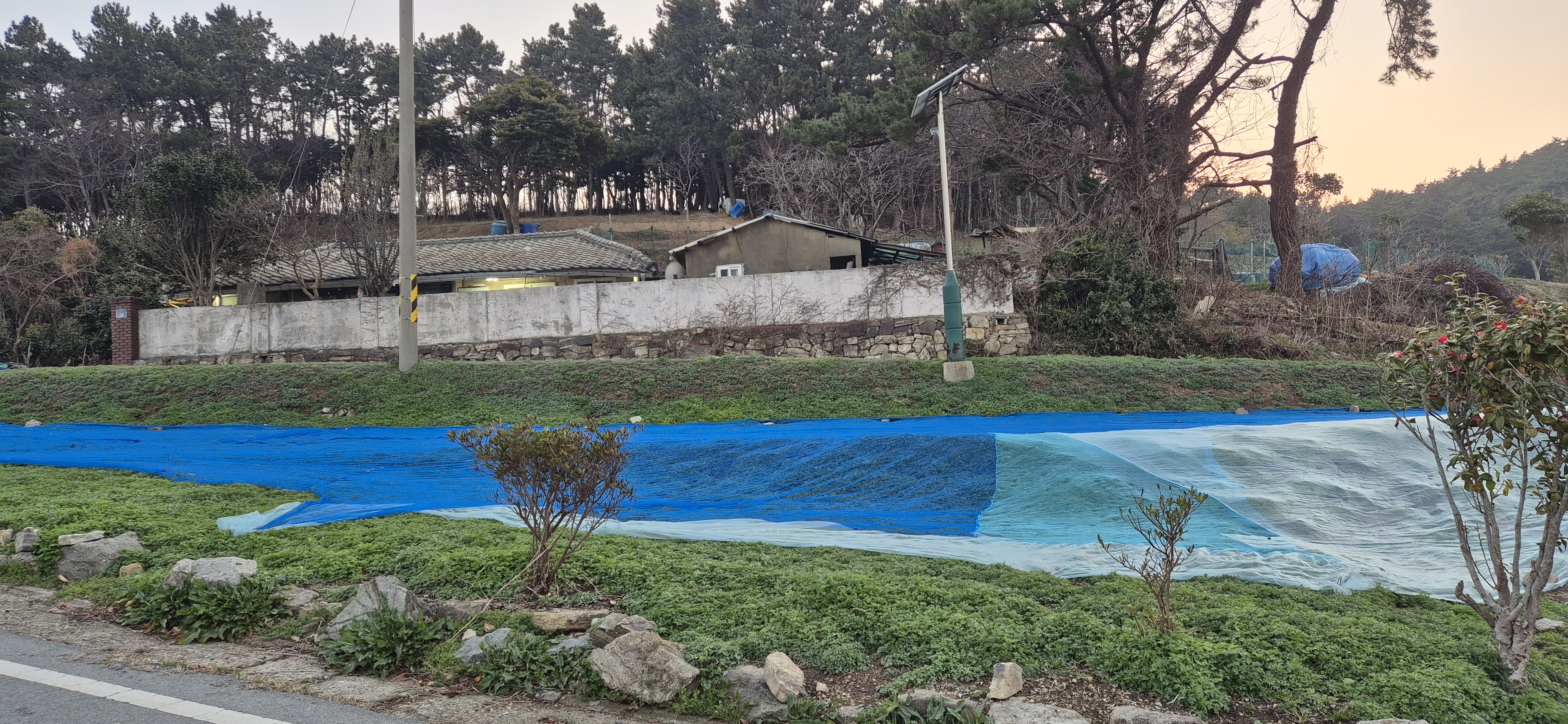 20260325-26 전남 진도군 조도면 하조도-상조도